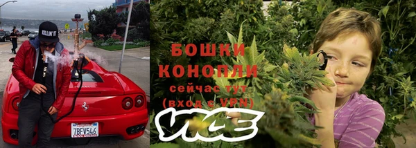 твердый Бородино