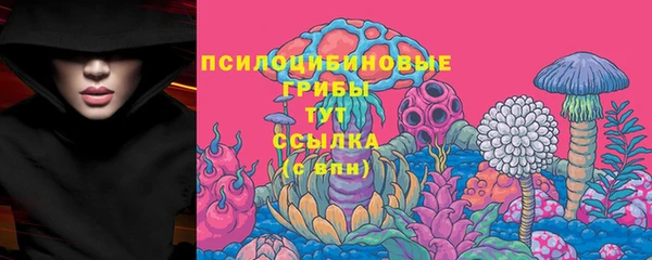 Альфа ПВП Богородицк